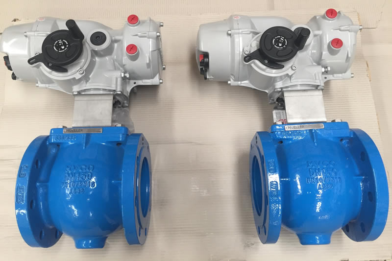 Ball Valves For Middle East Manufacturing Plant