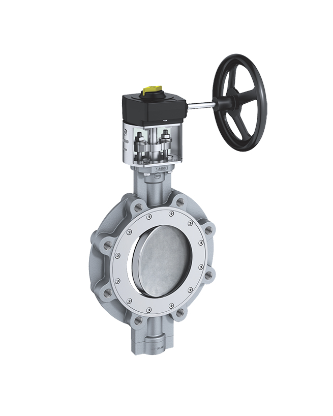 Ebro HP114 Double Eccentric Lugged Type Butterfly Valve