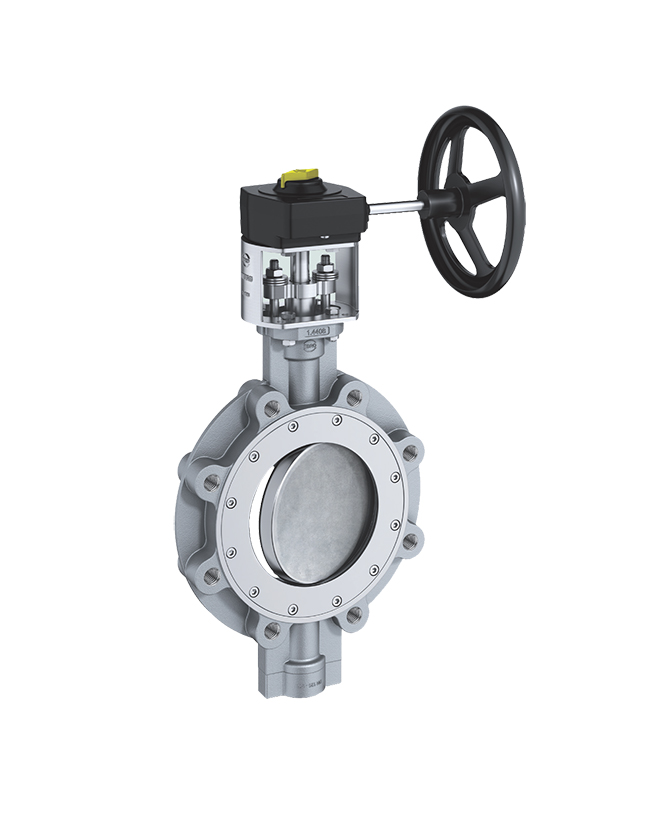 Ebro HP114 Double Eccentric Butterfly Valve