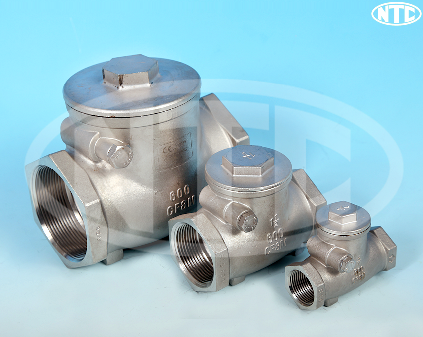 ETG CK1 Spring Loaded Disc Check Valve