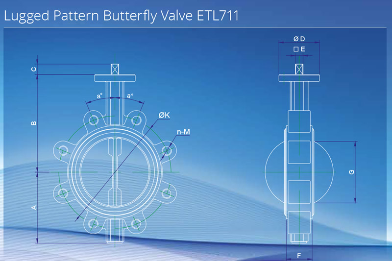 Eurotorc Lugged Butterfly Valve In Focus