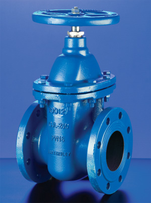 Hattersley 541 Flanged Cast Iron Wedge Gate Valve