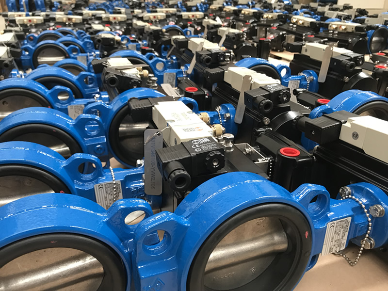 Huge Export Butterfly Valve Order Fulfilled