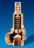 Nabic Fig 500 Flanged x Threaded High Lift Safety Valve