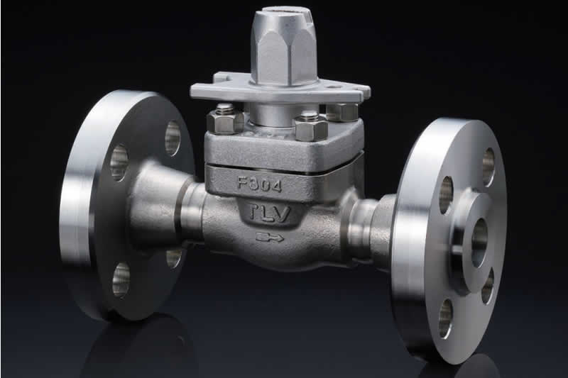 Eurovalve Supporting Steam Using Industries With TLV